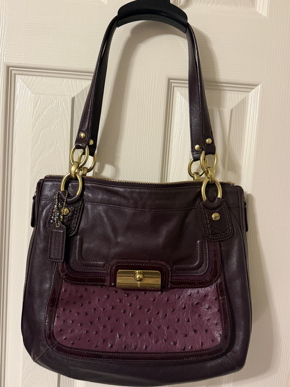 Coach 2011 Kristin Spectator Tote Style 18303 in Purple